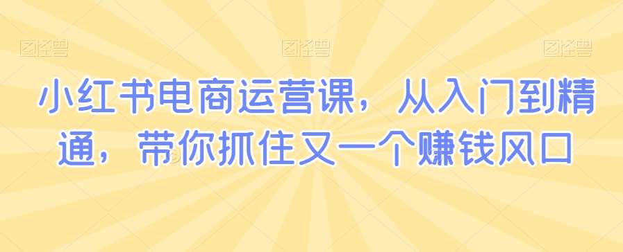 小红书电商运营课，从入门到精通，带你抓住又一个赚钱风口网创吧-网创项目资源站-副业项目-创业项目-搞钱项目网创吧