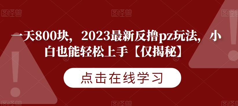 一天800块，2023最新反撸pz玩法，小白也能轻松上手【仅揭秘】网创吧-网创项目资源站-副业项目-创业项目-搞钱项目网创吧