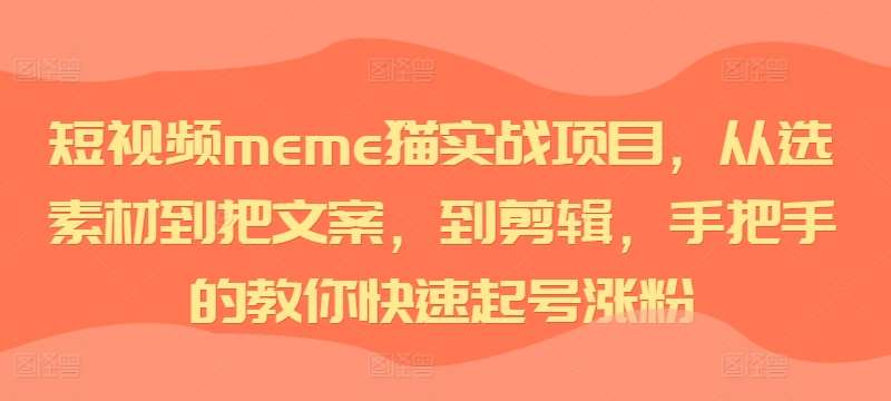 短视频meme猫实战项目，从选素材到把文案，到剪辑，手把手的教你快速起号涨粉网创吧-网创项目资源站-副业项目-创业项目-搞钱项目网创吧