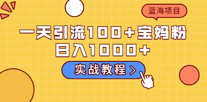 一天引流100+宝妈粉，日入1000+的蓝海项目（实战教程）网创吧-网创项目资源站-副业项目-创业项目-搞钱项目网创吧