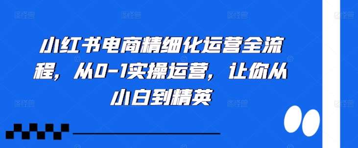 小红书电商精细化运营全流程，从0-1实操运营，让你从小白到精英网创吧-网创项目资源站-副业项目-创业项目-搞钱项目网创吧