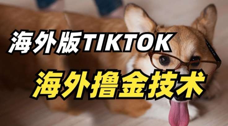 抖音海外版tiktok撸金技术，这个风口行业，赚钱真的不难【揭秘】网创吧-网创项目资源站-副业项目-创业项目-搞钱项目网创吧