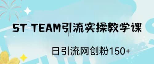 ST TEAM引流实操课，日引流网创粉100+网创吧-网创项目资源站-副业项目-创业项目-搞钱项目网创吧