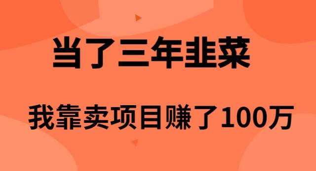 （10149期）当了3年韭菜，我靠卖项目赚了100万网创吧-网创项目资源站-副业项目-创业项目-搞钱项目网创吧