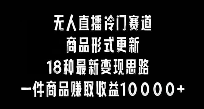 无人直播冷门赛道，商品形式更新，18种变现思路，一件商品赚取收益10000+【揭秘】网创吧-网创项目资源站-副业项目-创业项目-搞钱项目网创吧