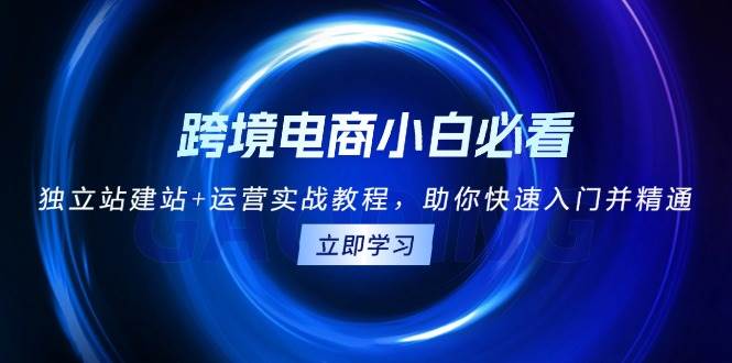 （13503期）跨境电商小白必看！独立站建站+运营实战教程，助你快速入门并精通网创吧-网创项目资源站-副业项目-创业项目-搞钱项目网创吧