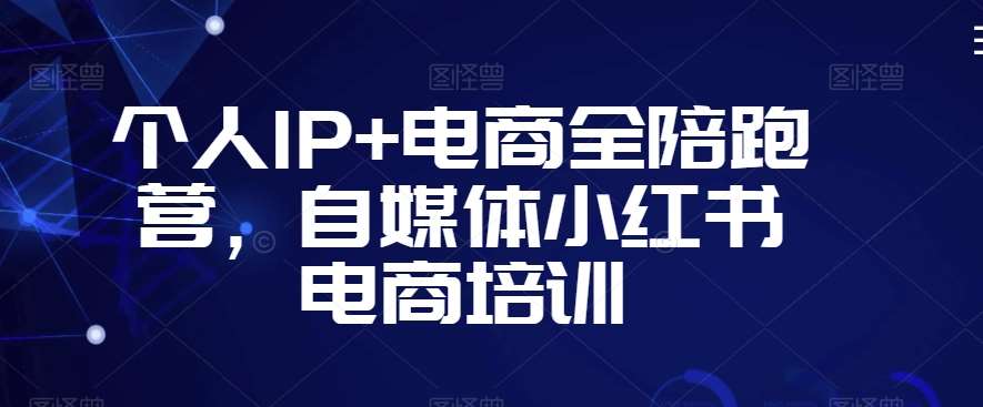 个人IP+电商全陪跑营，自媒体小红书电商培训网创吧-网创项目资源站-副业项目-创业项目-搞钱项目网创吧