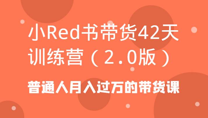 小Red书带货42天训练营（2.0版）普通人月入过万的带货课网创吧-网创项目资源站-副业项目-创业项目-搞钱项目网创吧