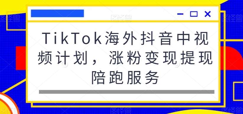 TikTok海外抖音中视频计划，涨粉变现提现陪跑服务网创吧-网创项目资源站-副业项目-创业项目-搞钱项目网创吧