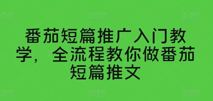 番茄短篇推广入门教学，全流程教你做番茄短篇推文网创吧-网创项目资源站-副业项目-创业项目-搞钱项目网创吧