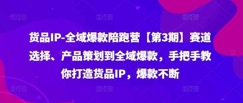 货品IP全域爆款陪跑营【第3期】赛道选择、产品策划到全域爆款，手把手教你打造货品IP，爆款不断网创吧-网创项目资源站-副业项目-创业项目-搞钱项目网创吧