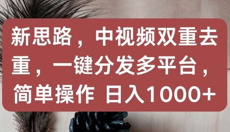 新思路，中视频双重去重，一键分发多平台，简单操作，日入1000+【揭秘】网创吧-网创项目资源站-副业项目-创业项目-搞钱项目网创吧