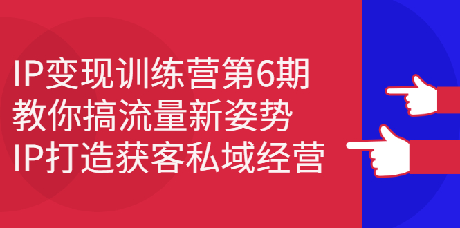 IP变现训练营第6期：教你搞流量新姿势，IP打造获客私域经营网创吧-网创项目资源站-副业项目-创业项目-搞钱项目网创吧