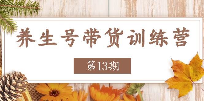 养生号带货训练营【第13期】收益更稳定的玩法，让你带货收益爆炸网创吧-网创项目资源站-副业项目-创业项目-搞钱项目网创吧