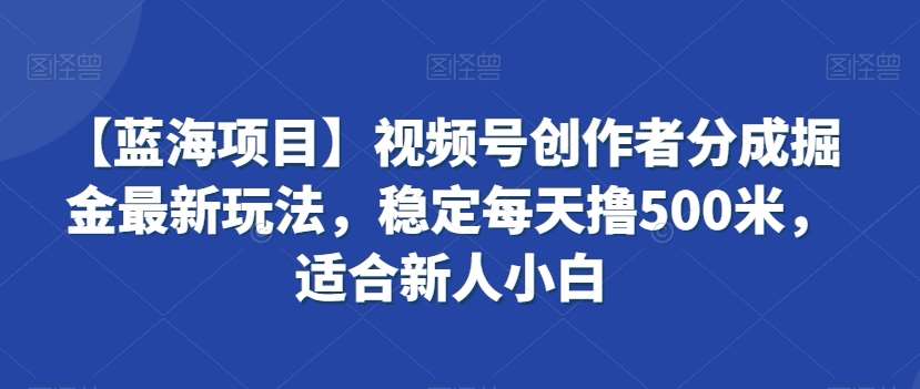 【蓝海项目】视频号创作者分成掘金最新玩法，稳定每天撸500米，适合新人小白【揭秘】网创吧-网创项目资源站-副业项目-创业项目-搞钱项目网创吧