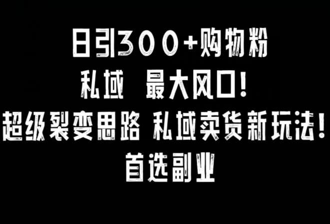 日引300+购物粉,超级裂变思路,私域卖货新玩法,小红书首选副业【揭秘】网创吧-网创项目资源站-副业项目-创业项目-搞钱项目网创吧