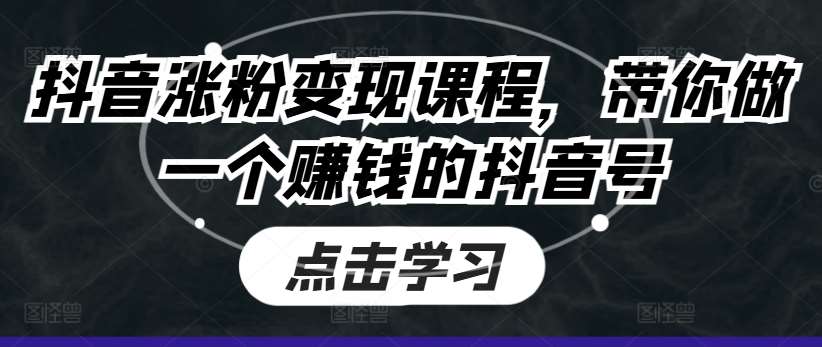 抖音涨粉变现课程，带你做一个赚钱的抖音号网创吧-网创项目资源站-副业项目-创业项目-搞钱项目网创吧