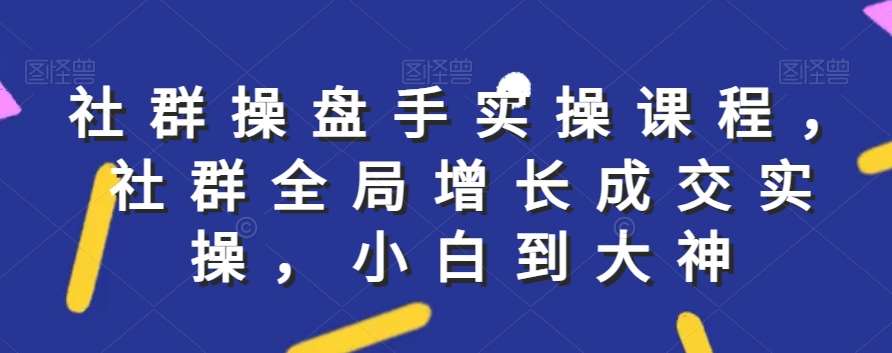 社群实操课程，社群全局增长成交实操，小白到大神网创吧-网创项目资源站-副业项目-创业项目-搞钱项目网创吧