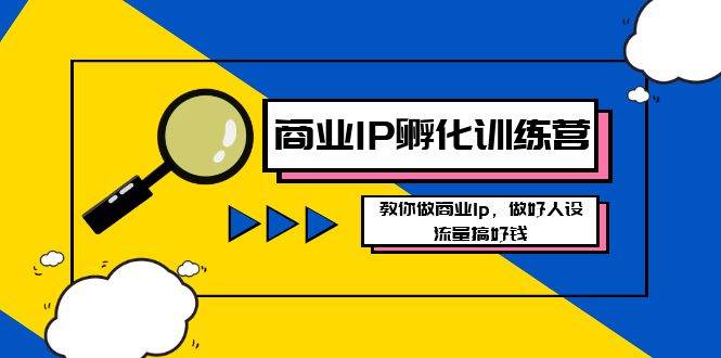 商业IP孵化训练营新版，教你做商业Ip，做好人设，流量搞好钱网创吧-网创项目资源站-副业项目-创业项目-搞钱项目网创吧