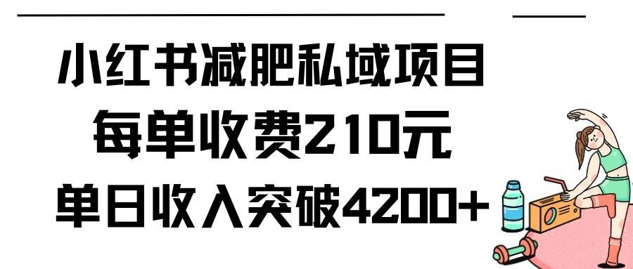 （9466期）小红书减肥私域项目每单收费210元单日成交20单，最高日入4200+网创吧-网创项目资源站-副业项目-创业项目-搞钱项目网创吧