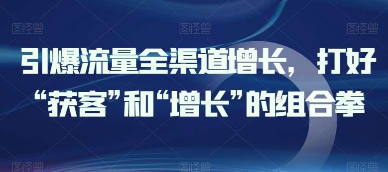 引爆流量全渠道增长，打好“获客”和“增长”的组合拳网创吧-网创项目资源站-副业项目-创业项目-搞钱项目网创吧