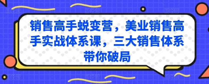 销售高手蜕变营，美业销售高手实战体系课，三大销售体系带你破局网创吧-网创项目资源站-副业项目-创业项目-搞钱项目网创吧