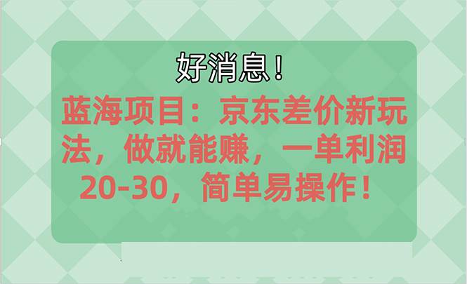 （10989期）越早知道越能赚到钱的蓝海项目：京东大平台操作，一单利润20-30，简单…网创吧-网创项目资源站-副业项目-创业项目-搞钱项目网创吧