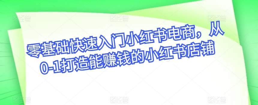 零基础快速入门小红书电商，从0-1打造能赚钱的小红书店铺网创吧-网创项目资源站-副业项目-创业项目-搞钱项目网创吧