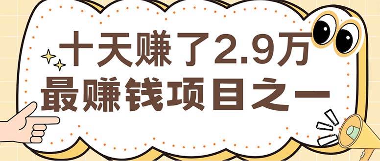 （12491期）闲鱼小红书赚钱项目之一，轻松月入6万+项目网创吧-网创项目资源站-副业项目-创业项目-搞钱项目网创吧