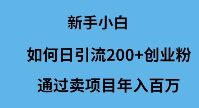 （9668期）新手小白如何日引流200+创业粉通过卖项目年入百万网创吧-网创项目资源站-副业项目-创业项目-搞钱项目网创吧