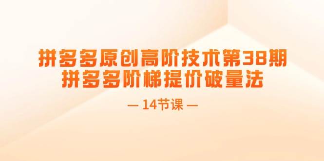 （11704期）拼多多原创高阶技术第38期，拼多多阶梯提价破量法（14节课）网创吧-网创项目资源站-副业项目-创业项目-搞钱项目网创吧