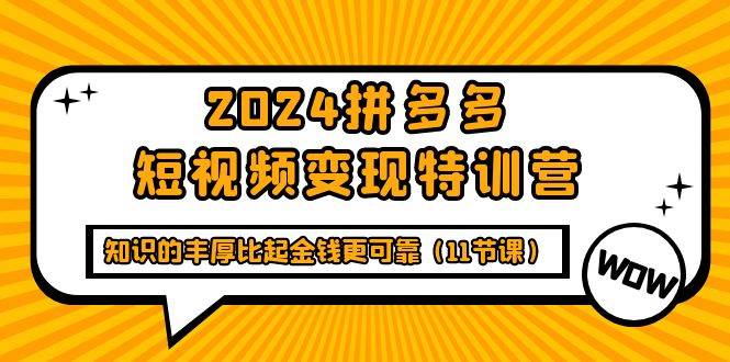 （9817期）2024拼多多短视频变现特训营，知识的丰厚比起金钱更可靠（11节课）网创吧-网创项目资源站-副业项目-创业项目-搞钱项目网创吧