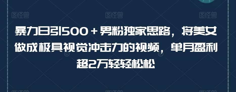 暴力日引500＋男粉独家思路，将美女做成极具视觉冲击力的视频，单月盈利超2万轻轻松松网创吧-网创项目资源站-副业项目-创业项目-搞钱项目网创吧