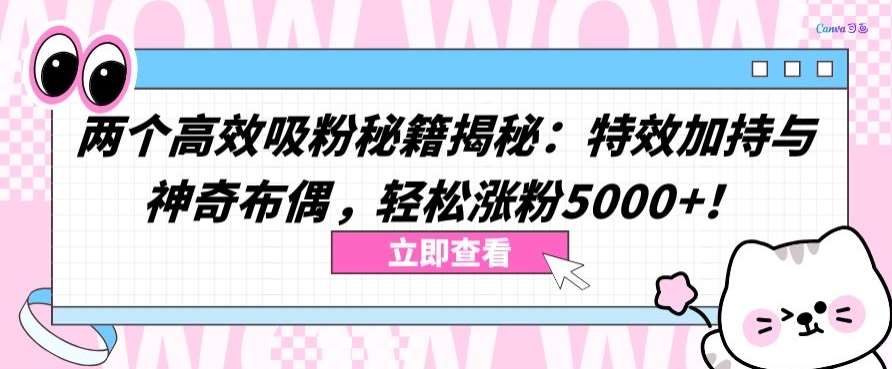 两个高效吸粉秘籍揭秘：特效加持与神奇布偶，轻松涨粉5000+【揭秘】网创吧-网创项目资源站-副业项目-创业项目-搞钱项目网创吧