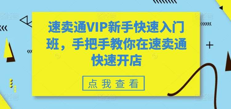 速卖通VIP新手快速入门班，手把手教你在速卖通快速开店网创吧-网创项目资源站-副业项目-创业项目-搞钱项目网创吧