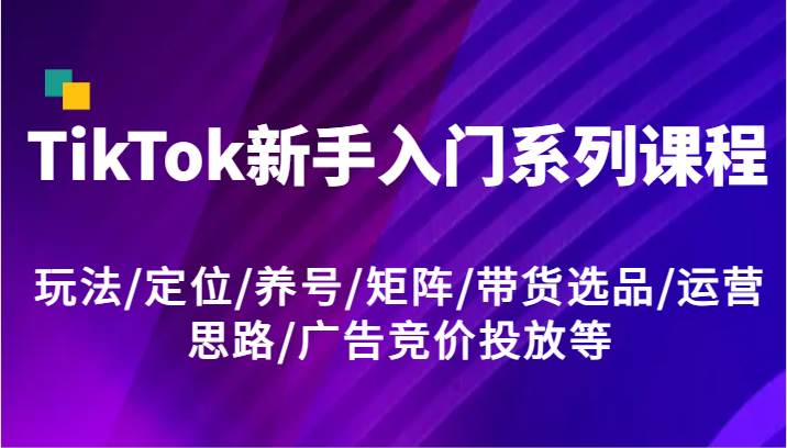 TikTok新手入门系列课程,玩法/定位/养号/矩阵/带货选品/运营思路/广告竞价投放等网创吧-网创项目资源站-副业项目-创业项目-搞钱项目网创吧