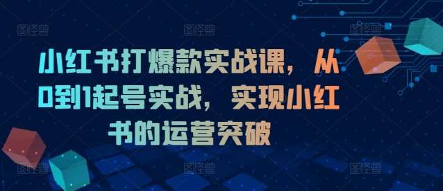 小红书打爆款实战课，从0到1起号实战，实现小红书的运营突破网创吧-网创项目资源站-副业项目-创业项目-搞钱项目网创吧