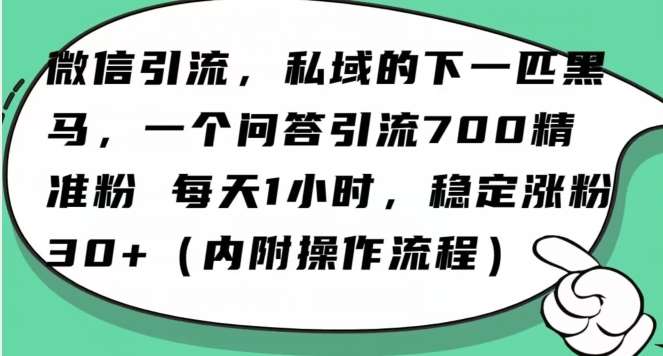 怎么搞精准创业粉？微信新赛道，每天一小时，利用Ai一个问答日引100精准粉网创吧-网创项目资源站-副业项目-创业项目-搞钱项目网创吧