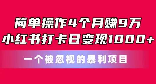 简单操作4个月赚9w，小红书打卡日变现1k，一个被忽视的暴力项目【揭秘】网创吧-网创项目资源站-副业项目-创业项目-搞钱项目网创吧