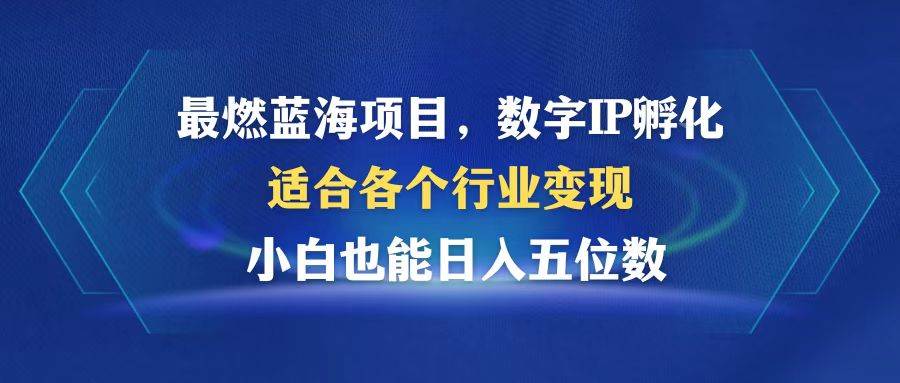 （12941期）最燃蓝海项目  数字IP孵化  适合各个行业变现  小白也能日入5位数网创吧-网创项目资源站-副业项目-创业项目-搞钱项目网创吧