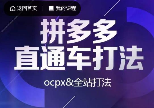 互力·拼多多直通车打法，ocpx&全站打法网创吧-网创项目资源站-副业项目-创业项目-搞钱项目网创吧