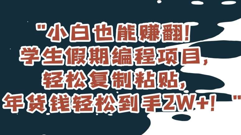小白也能赚翻!学生假期编程项目,轻松复制粘贴,年货钱轻松到手2W+【揭秘】网创吧-网创项目资源站-副业项目-创业项目-搞钱项目网创吧
