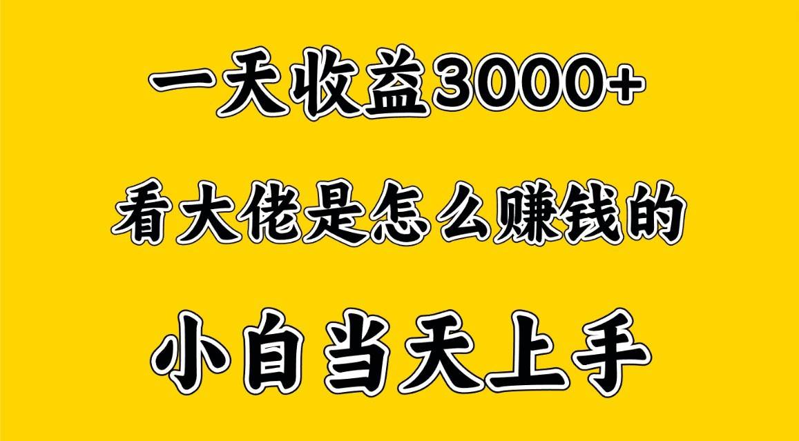 一天赚3000多，大佬是这样赚到钱的，小白当天上手，穷人翻身项目网创吧-网创项目资源站-副业项目-创业项目-搞钱项目网创吧