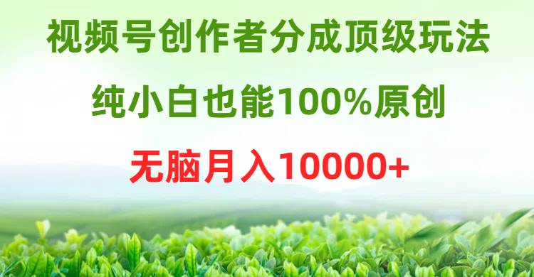 （9608期）视频号创作者分成顶级玩法，纯小白也能100%原创，无脑月入10000+网创吧-网创项目资源站-副业项目-创业项目-搞钱项目网创吧