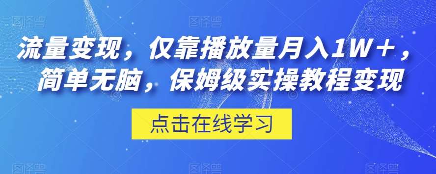 流量变现，仅靠播放量月入1W＋，简单无脑，保姆级实操教程【揭秘】网创吧-网创项目资源站-副业项目-创业项目-搞钱项目网创吧