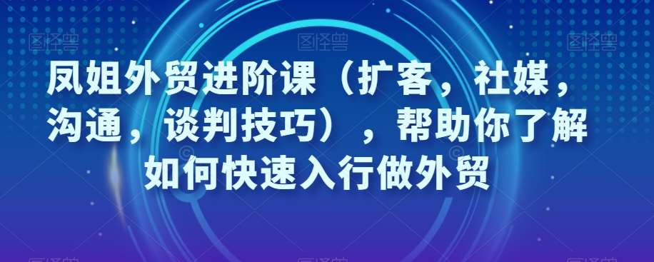 凤姐外贸进阶课（扩客，社媒，沟通，谈判技巧），帮助你了解如何快速入行做外贸网创吧-网创项目资源站-副业项目-创业项目-搞钱项目网创吧