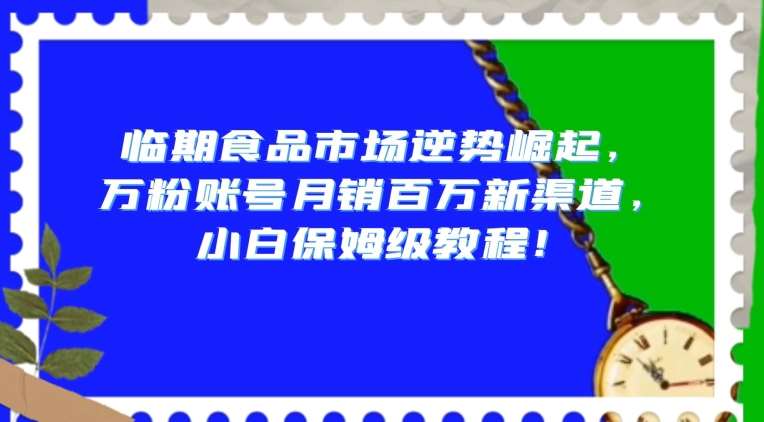 临期食品市场逆势崛起，万粉账号月销百万新渠道，小白保姆级教程【揭秘】网创吧-网创项目资源站-副业项目-创业项目-搞钱项目网创吧