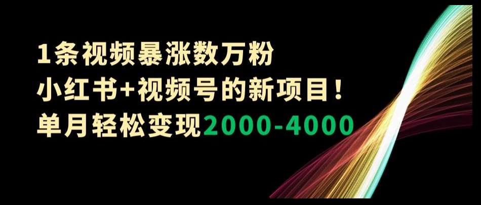 1条视频暴涨数万粉–小红书+视频号的新项目！单月轻松变现2000-4000【揭秘】网创吧-网创项目资源站-副业项目-创业项目-搞钱项目网创吧