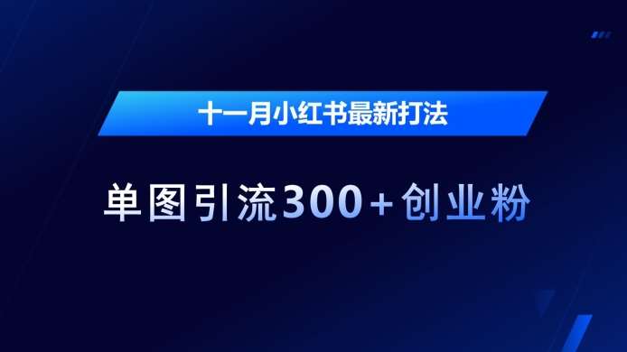 十一月小红书最新打法,单图引流300+创业粉【揭秘】网创吧-网创项目资源站-副业项目-创业项目-搞钱项目网创吧
