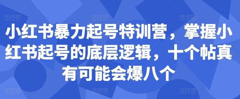 小红书暴力起号特训营，掌握小红书起号的底层逻辑，十个帖真有可能会爆八个网创吧-网创项目资源站-副业项目-创业项目-搞钱项目网创吧